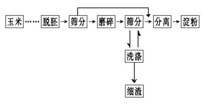 简化后的玉米淀粉生产流程原理图